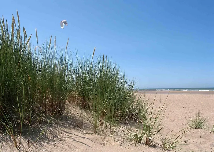 Hotel Club De La Plage